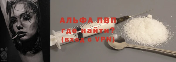прущие грибы Струнино
