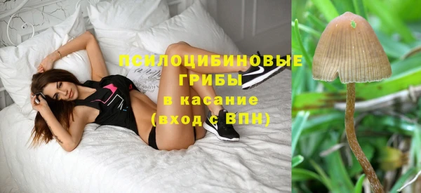 стафф Балахна