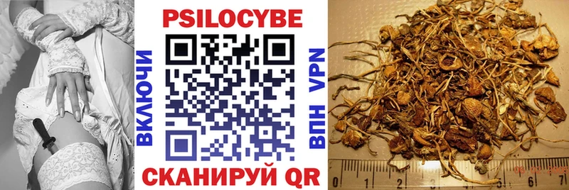 где купить   omg вход  Псилоцибиновые грибы ЛСД  Кумертау 